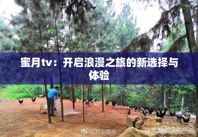 蜜月tv：开启浪漫之旅的新选择与体验