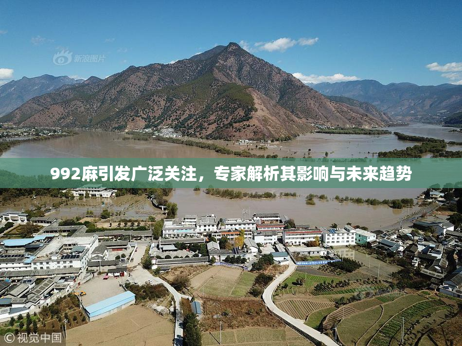 992麻引发广泛关注，专家解析其影响与未来趋势