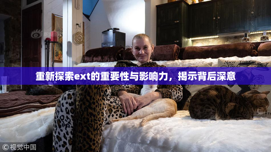 重新探索ext的重要性与影响力，揭示背后深意