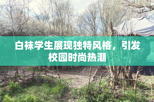 白袜学生展现独特风格，引发校园时尚热潮