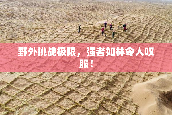 野外挑战极限，强者如林令人叹服！