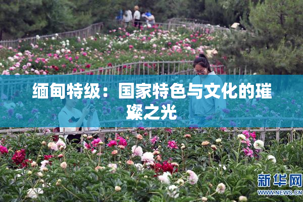 缅甸特级：国家特色与文化的璀璨之光