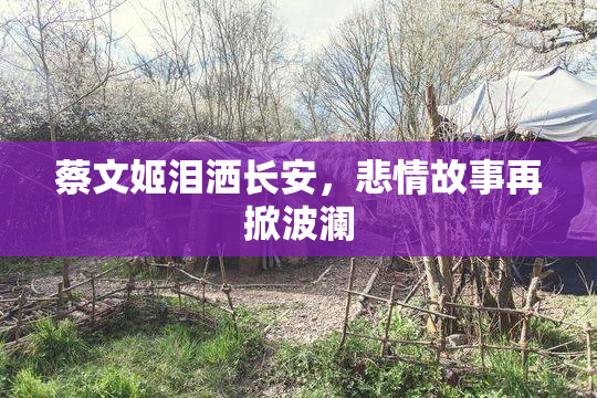 蔡文姬泪洒长安，悲情故事再掀波澜