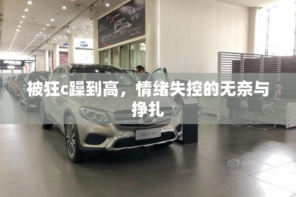被狂c躁到高，情绪失控的无奈与挣扎