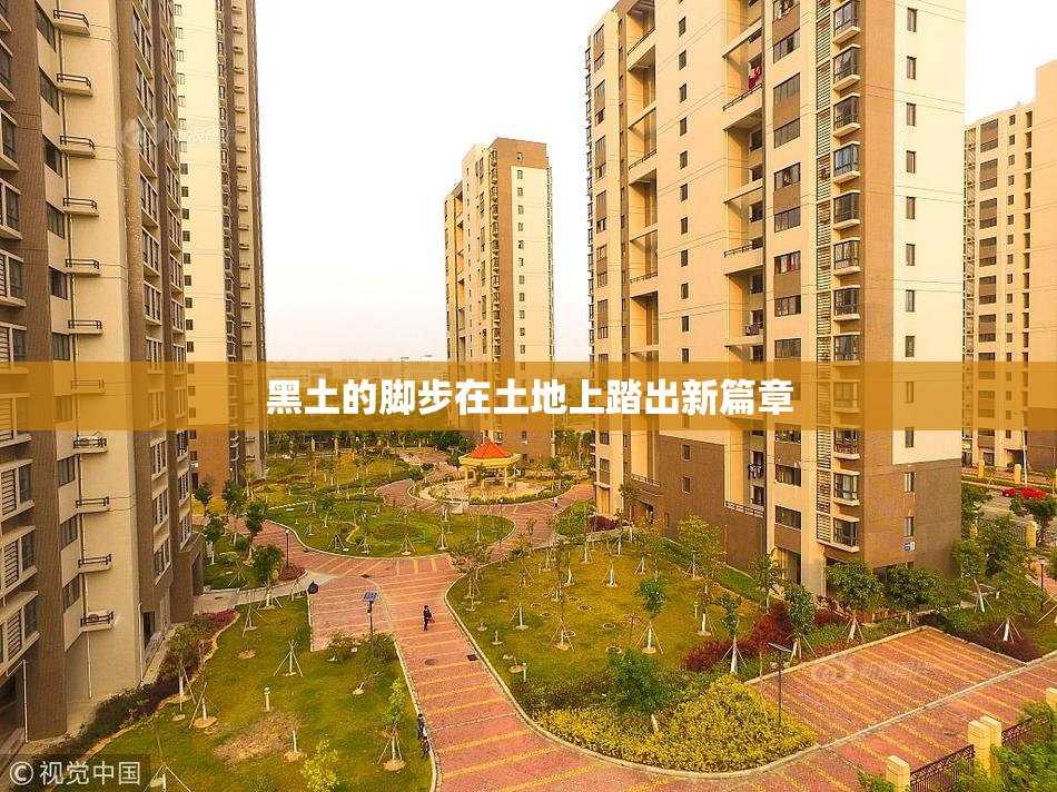 黑土的脚步在土地上踏出新篇章