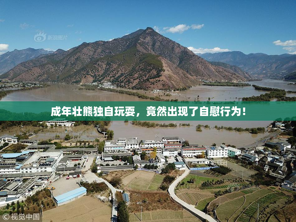 成年壮熊独自玩耍，竟然出现了自慰行为！