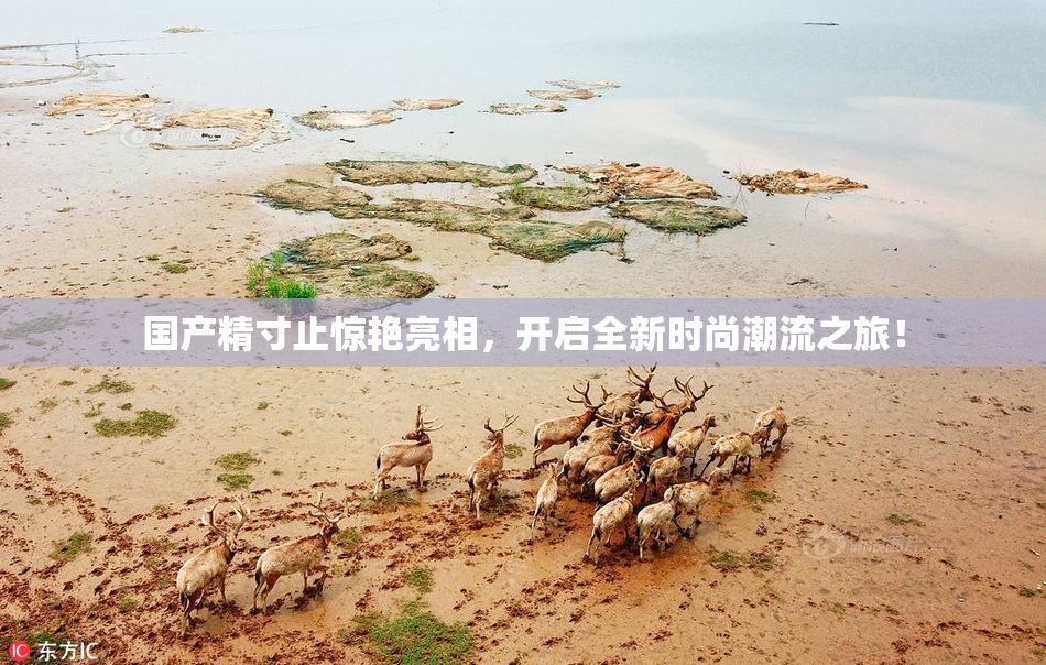 国产精寸止惊艳亮相，开启全新时尚潮流之旅！
