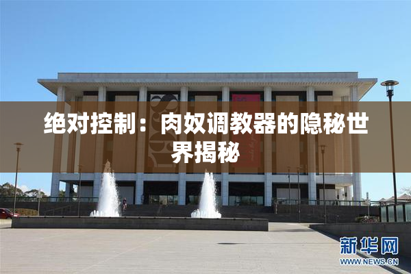 绝对控制：肉奴调教器的隐秘世界揭秘