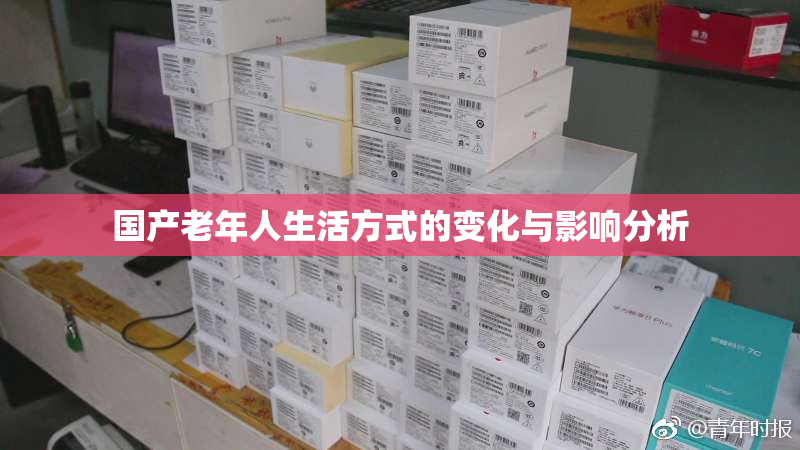 国产老年人生活方式的变化与影响分析