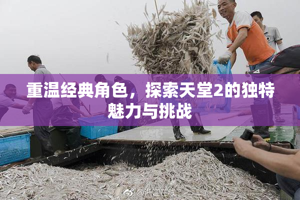 重温经典角色，探索天堂2的独特魅力与挑战