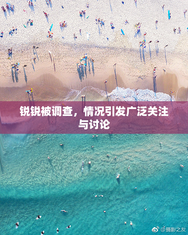 锐锐被调查，情况引发广泛关注与讨论