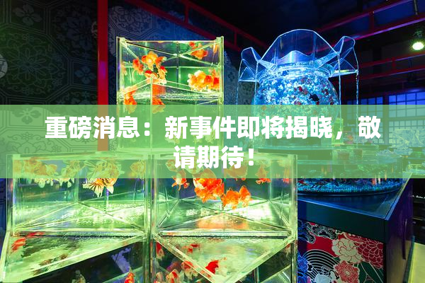 重磅消息：新事件即将揭晓，敬请期待！