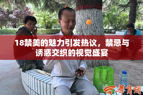 18禁美的魅力引发热议，禁忌与诱惑交织的视觉盛宴