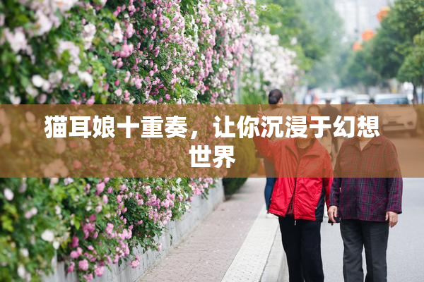 猫耳娘十重奏，让你沉浸于幻想世界
