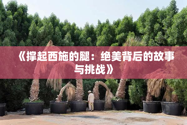 《撑起西施的腿：绝美背后的故事与挑战》