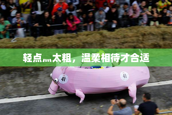轻点灬太粗，温柔相待才合适