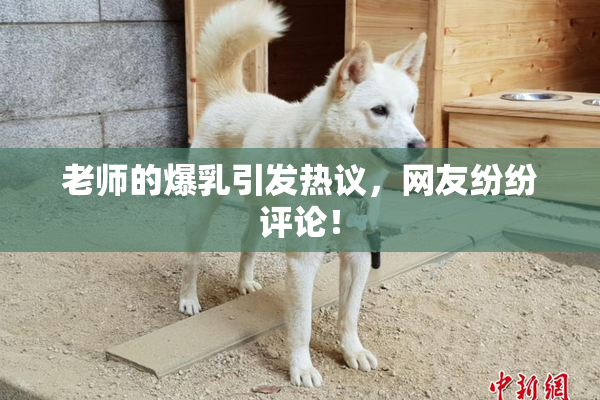 老师的爆乳引发热议，网友纷纷评论！