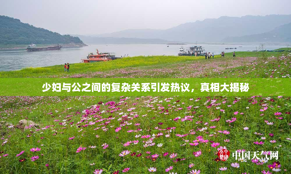 少妇与公之间的复杂关系引发热议，真相大揭秘