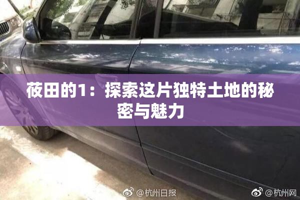 莜田的1：探索这片独特土地的秘密与魅力