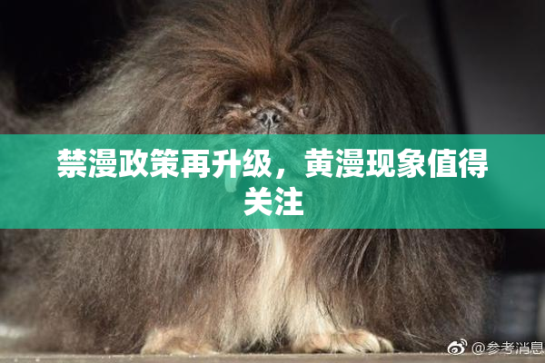 禁漫政策再升级，黄漫现象值得关注