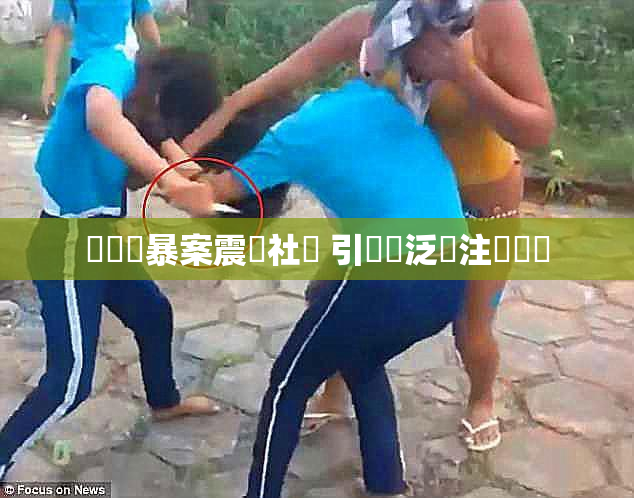 亂倫強暴案震驚社會 引發廣泛關注與討論