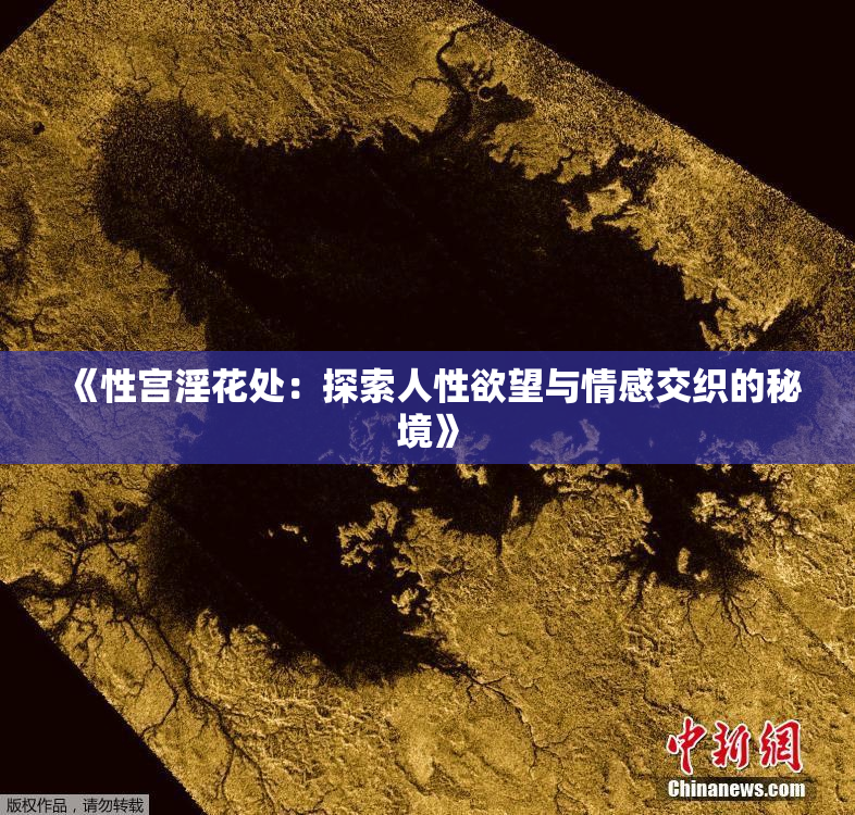 《性宫淫花处：探索人性欲望与情感交织的秘境》