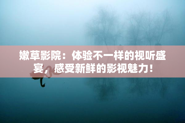 嫩草影院：体验不一样的视听盛宴，感受新鲜的影视魅力！