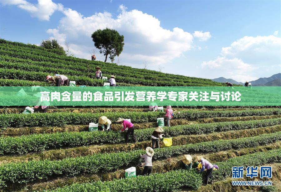 高肉含量的食品引发营养学专家关注与讨论