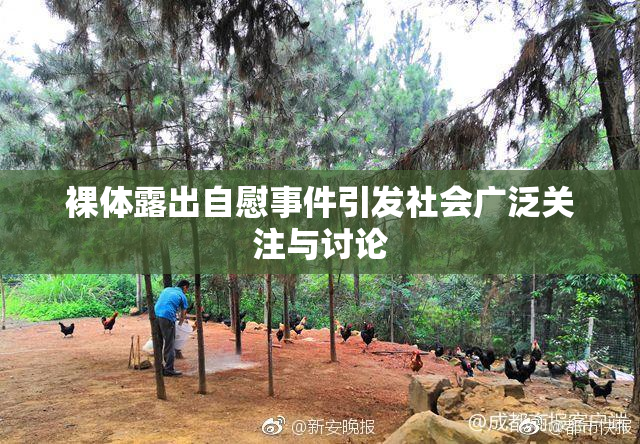 裸体露出自慰事件引发社会广泛关注与讨论