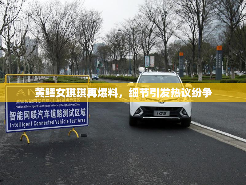 黄鳝女琪琪再爆料，细节引发热议纷争