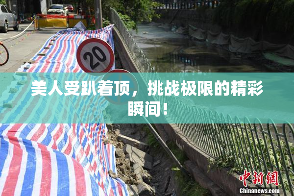 美人受趴着顶，挑战极限的精彩瞬间！