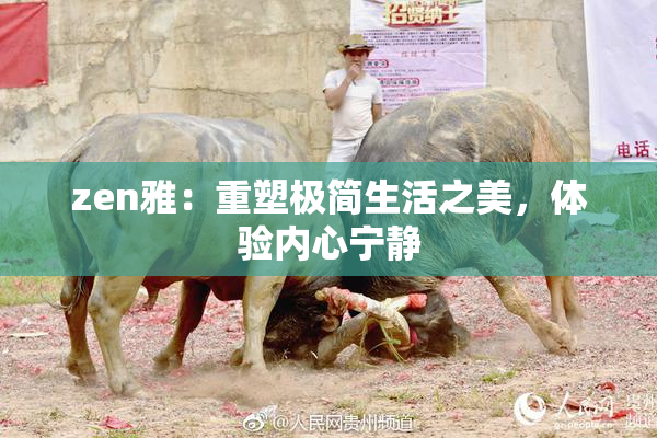 zen雅：重塑极简生活之美，体验内心宁静