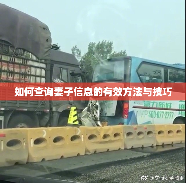如何查询妻子信息的有效方法与技巧