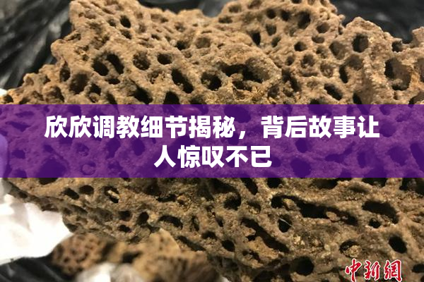 欣欣调教细节揭秘，背后故事让人惊叹不已