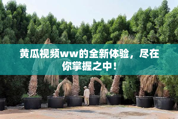 黄瓜视频ww的全新体验，尽在你掌握之中！