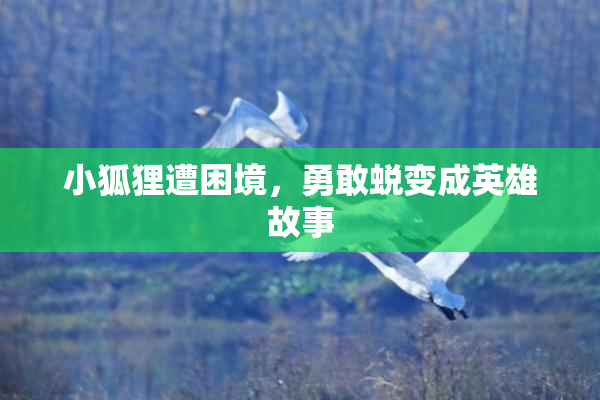 小狐狸遭困境，勇敢蜕变成英雄故事