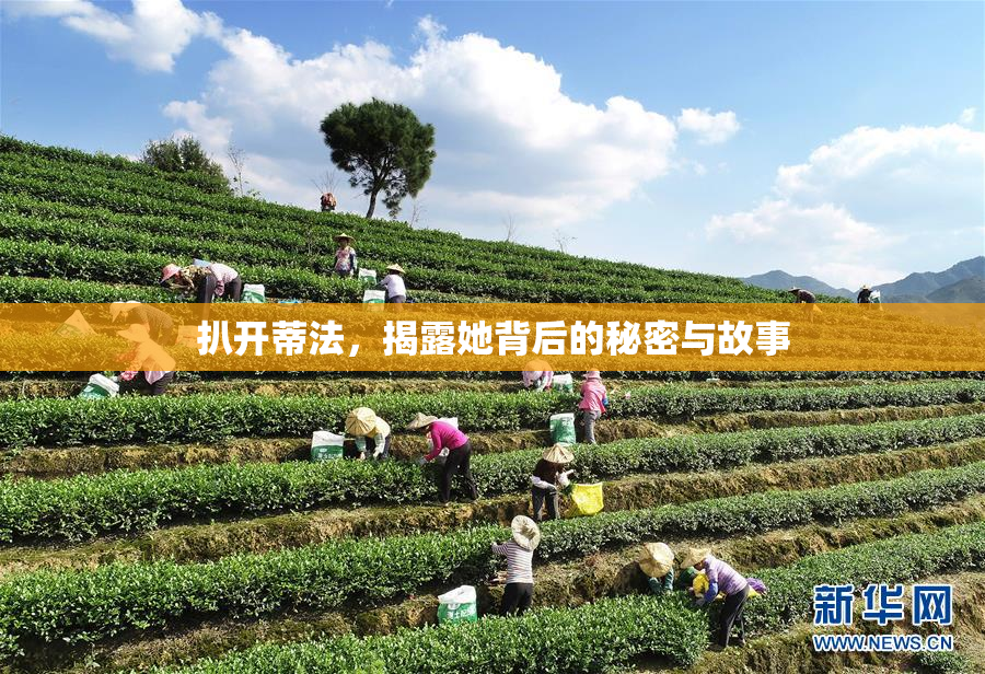 扒开蒂法，揭露她背后的秘密与故事