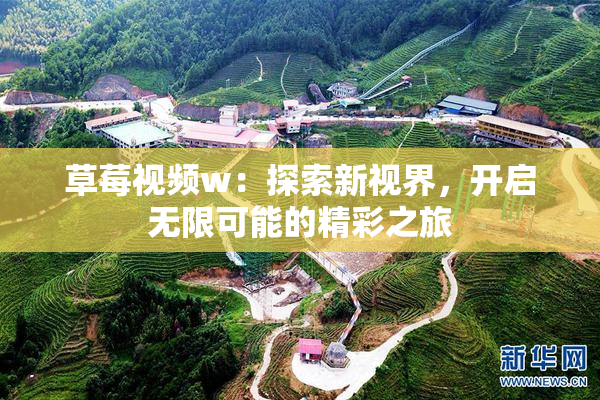 草莓视频w：探索新视界，开启无限可能的精彩之旅