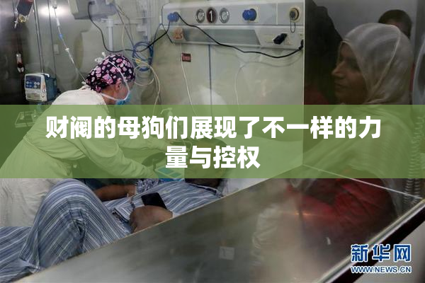 财阀的母狗们展现了不一样的力量与控权
