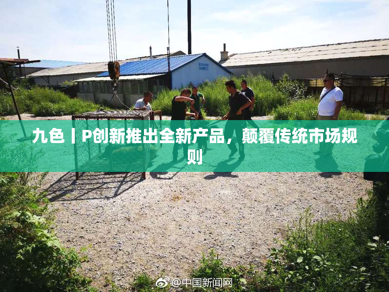 九色丨P创新推出全新产品，颠覆传统市场规则