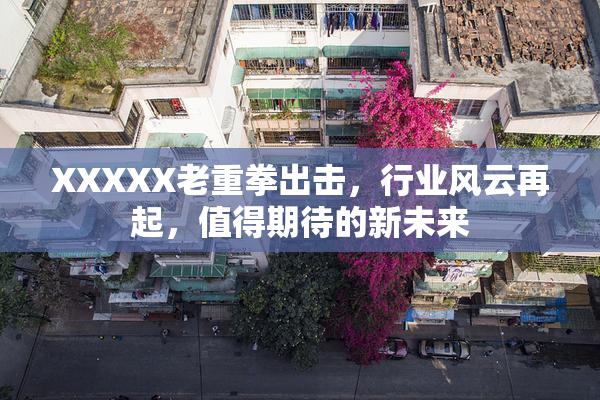 XXXXX老重拳出击，行业风云再起，值得期待的新未来