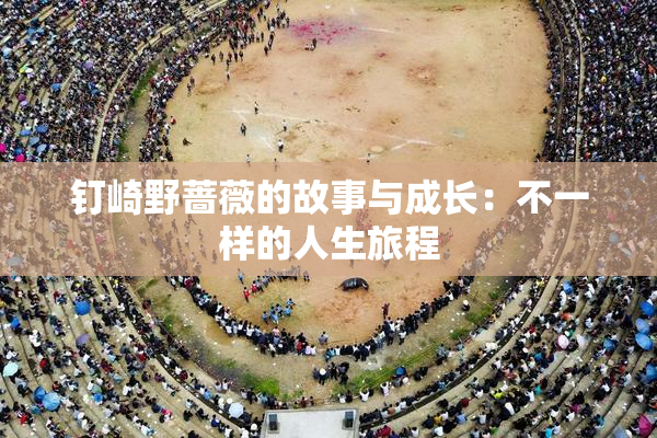 钉崎野蔷薇的故事与成长：不一样的人生旅程
