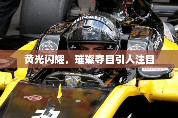 黄光闪耀，璀璨夺目引人注目