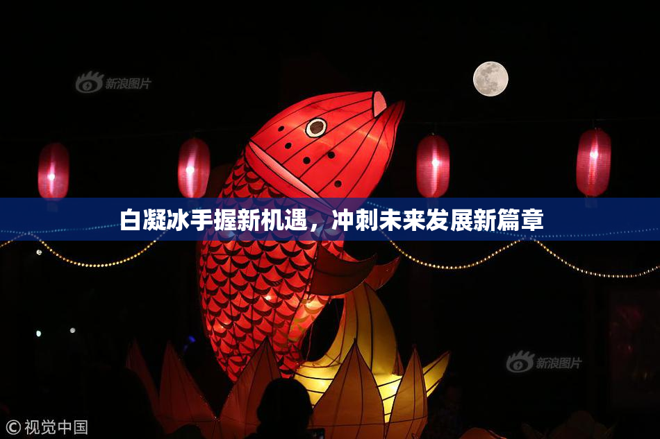 白凝冰手握新机遇，冲刺未来发展新篇章