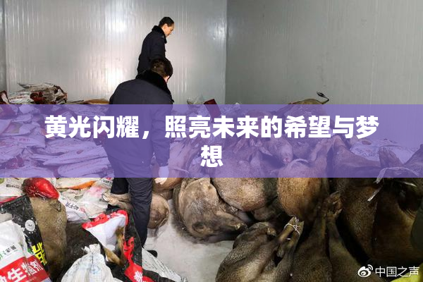 黄光闪耀，照亮未来的希望与梦想