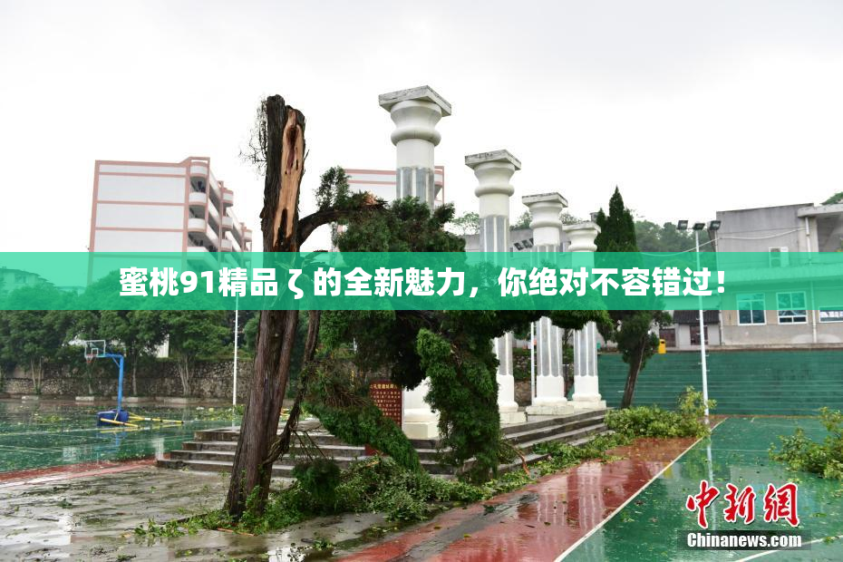 蜜桃91精品 ζ 的全新魅力，你绝对不容错过！