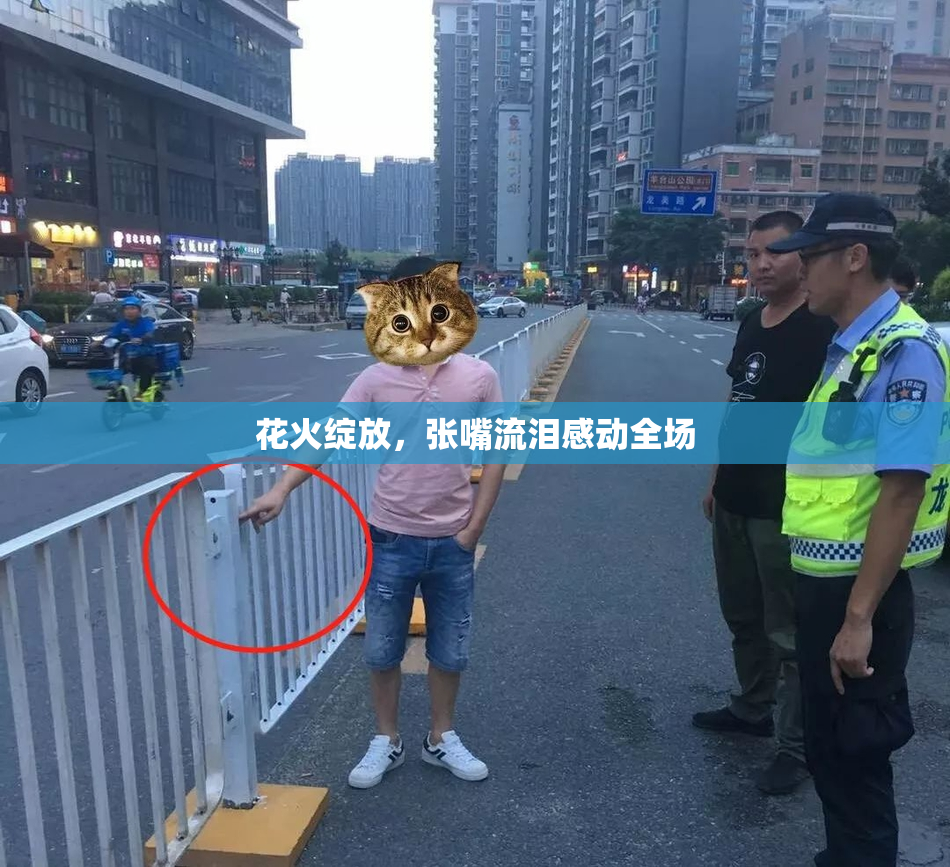 花火绽放，张嘴流泪感动全场
