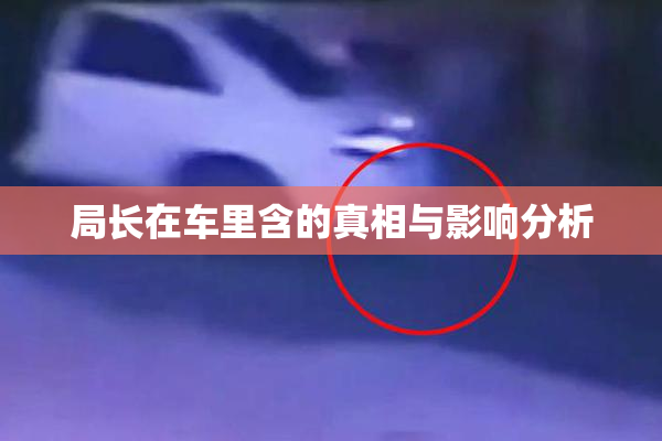 局长在车里含的真相与影响分析