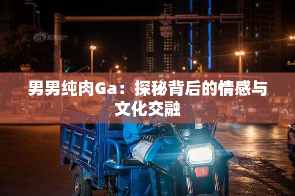 男男纯肉Ga：探秘背后的情感与文化交融