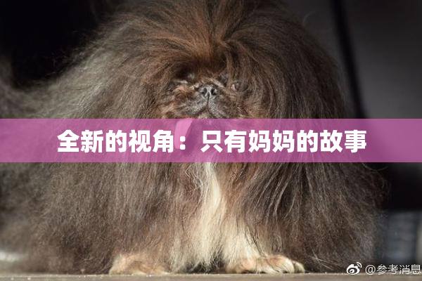 全新的视角：只有妈妈的故事